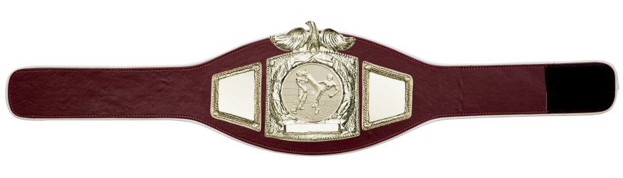 PROEAGLE KICKBOXING CHAMPIONSHIP BELT - PROEAGLE/G/KBOG - AVAILABLE IN 6+ COLOURS PROEAGLE KICKBOXING CHAMPIONSHIP BELT - PROEAGLE/G/KBOG - AVAILABLE IN 6+ COLOURS